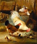 unknow artist Cocks 139 Germany oil painting artist
